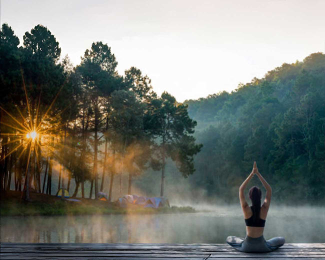 Healing Journey on Sleep & Stress