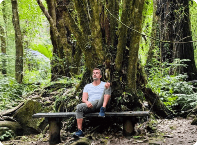 Man relaxing on forest bench surrounded by lush green rainforest