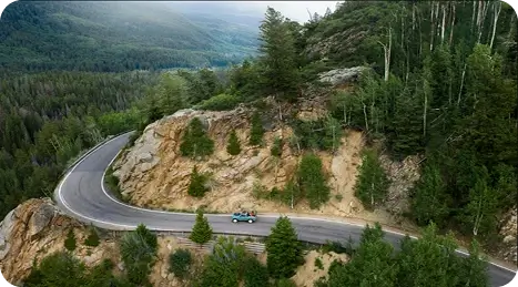 Forest path top view
